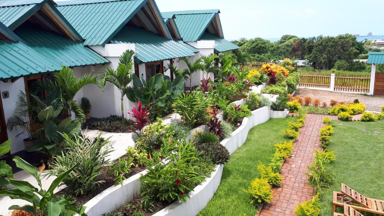 Villas Los Olivos Ayampe Exteriér fotografie